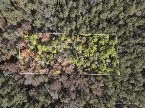 Leaf River Access Land