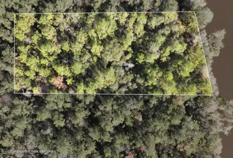 Leaf River Waterfront Acreage