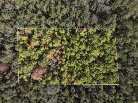 Land Near Leaf River