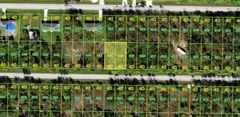 Residential Land in Punta Gorda