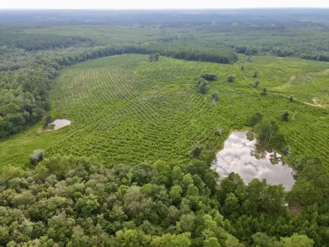 Large Land Tract with Waterfrontage