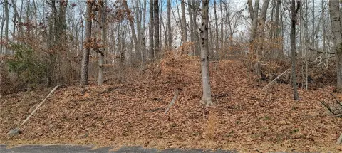 Westminster Land in Foxwood Hills