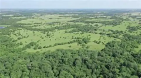 Farmersville Land with Creek