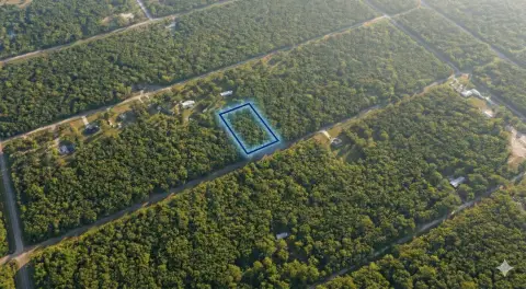 Buildable Land in Flagler Estates