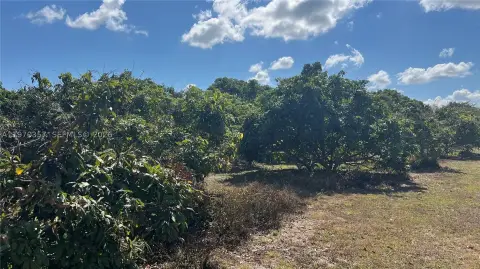 5-Acre Development Land Parcel