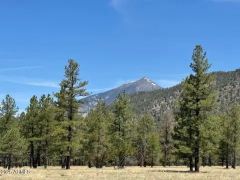 Flagstaff Acreage with Mountain Views