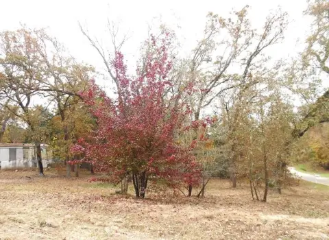 Cleared Lot Ready for Development