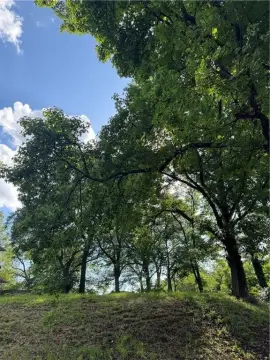 Residential Lot in Edgewood