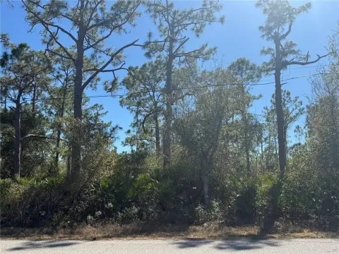 Punta Gorda Buildable Vacant Lot