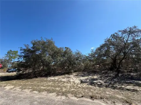 Residential Lot in Citrus Springs