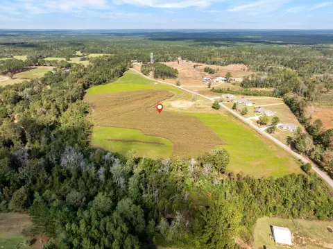 Cleared Land in Sumrall, MS
