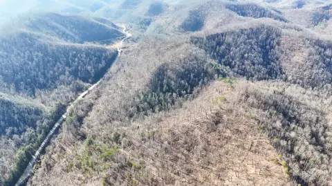 42 Acres Hunting/Recreation Land