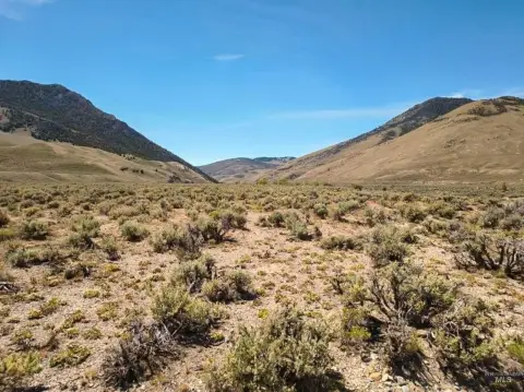 Off-Grid Hunting Land