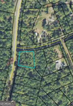 Land in Sparta, Georgia