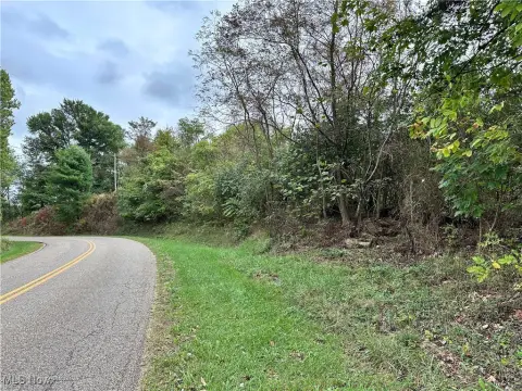 Mostly Wooded Hunting Tract