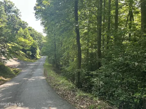 Wooded Residential Land Lot