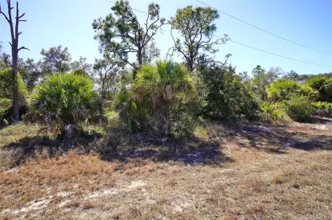 Oversized Land Parcel in Port Charlotte