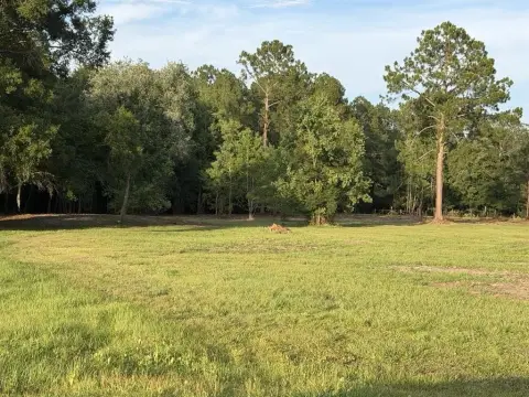 Partially Cleared Cul-de-Sac Lot