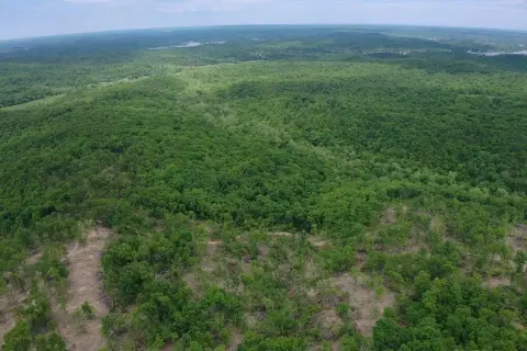 Secluded Timbered Land Near Lake
