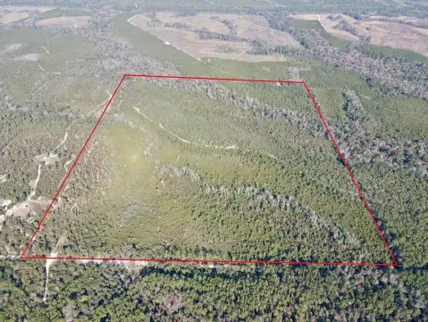 128 Acres of Hunting Land