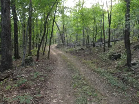 Secluded 40 Acres in Ozarks