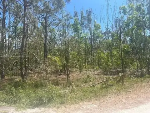 Vacant Land in Bokeelia, FL