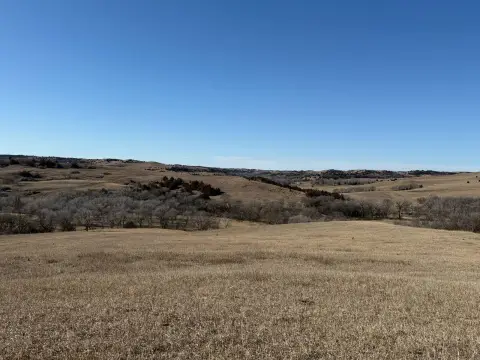 Recreational Farmstead Acreage with Cropland