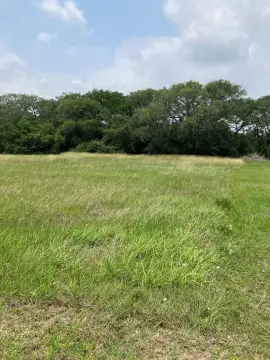 Acre Lot on Tres Palacios