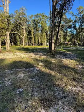Vacant Cleared Acre in Old Town