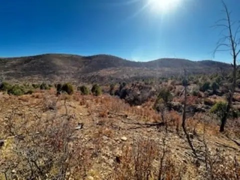 Hunting Land Acreage