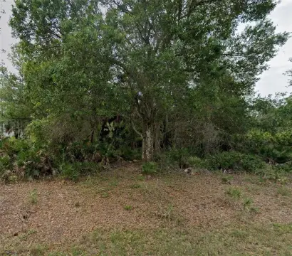 Residential Lot in Punta Gorda