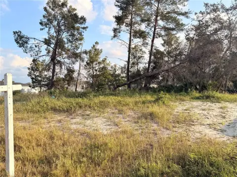 Residential Lot in Poinciana Community