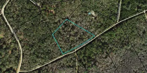 Wooded Land Near Aucilla River