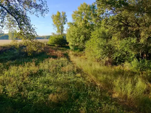 Hunting Land with Established Trails