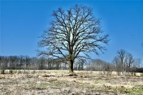 Picturesque 10-Acre Rural Parcel