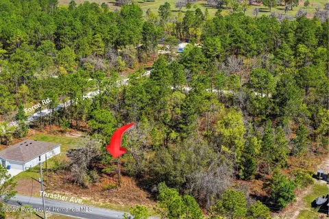 Wooded Homesite in Weeki Wachee