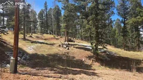 Land in Trout Haven Area
