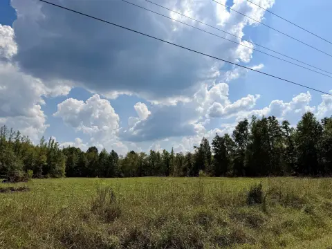 Woodland Hunting Land