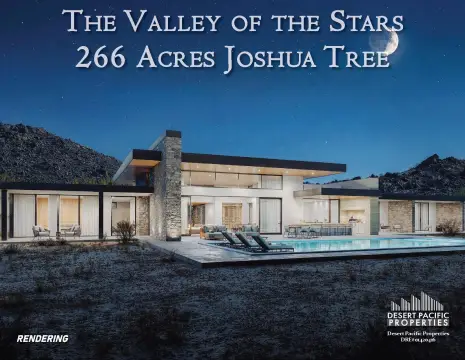 Joshua Tree Land: Valley of Stars