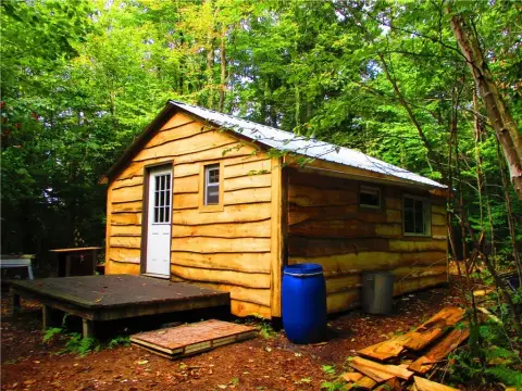 Wooded Land with Off-Grid Cabin