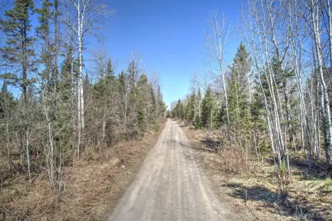 Commercial Forest Land