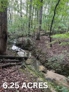Wooded Land with Creek Access