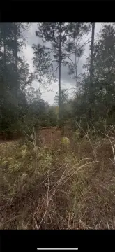 Residential Land Lot