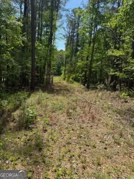 Residential Lot in Griffin, GA