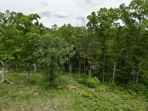 Land in Branson Hills Community