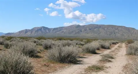Mojave Land Parcel For Sale