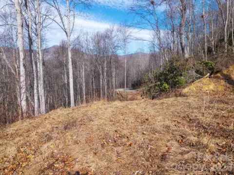 Homesite in Western North Carolina