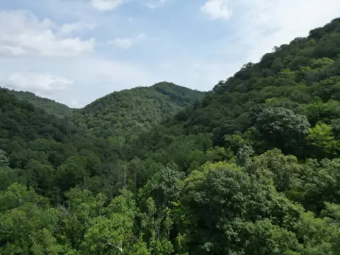 Surveyed Hunting Land