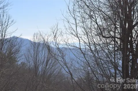 Wooded Acreage in Hills of Cataloochee