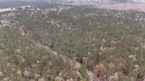 60 Acres Hunting/Investment Land